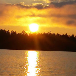 Meet your Posher, Suzanne